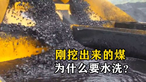為什么要清洗剛挖出來的煤？不洗的后果與重要性